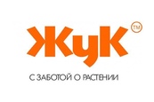 Жук