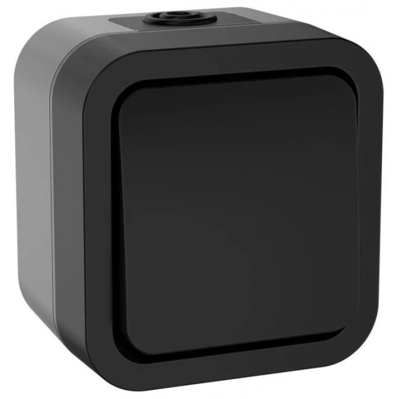 Переключатель одноклавишный TORS 10А IP55 графит (7082651) TS-V10-0-10-55-K41