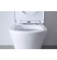 Монолитный унитаз Eva Gold SM9004A УТ-00000543