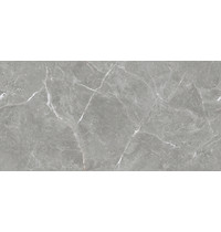 Керамогранит Stone Cool Grey x9999304579 (серый 60х120 матовый)