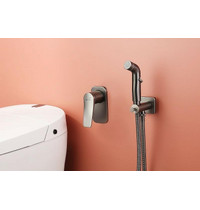 Смеситель с гигиеническим душем Lemark LM3719GM Бронкс (встраиваемый графит)