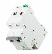 Выключатель автоматический модульный Schneider Electric EASY 9 EZ9F34250 2п С 50А 4.5кА