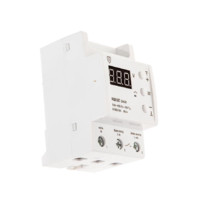 Реле напряжения DS Electronics RBUZ D40t