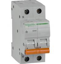 Выключатель автоматический модульный Schneider Electric Домовой ВА63 2п С 25A 4.5кА
