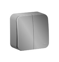 Выключатель Schneider Electric Blanca BLNVA105003 10А 250В (2-клавишный, алюминий)