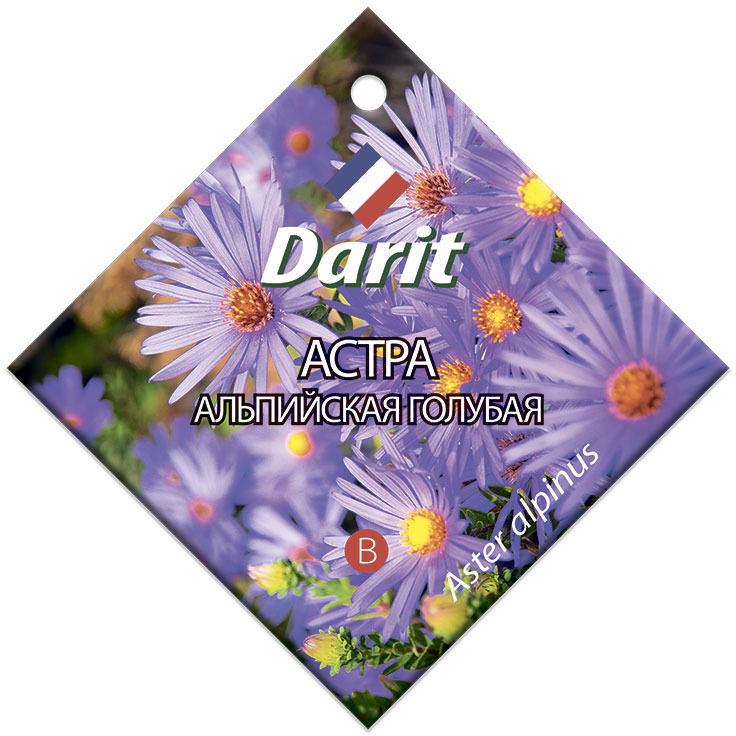 Семена Darit Астра Альпийская голубая 5637 М*0,1г