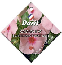 Семена Darit Катарантус Саншторм Априкот Хало 5688 О*10шт