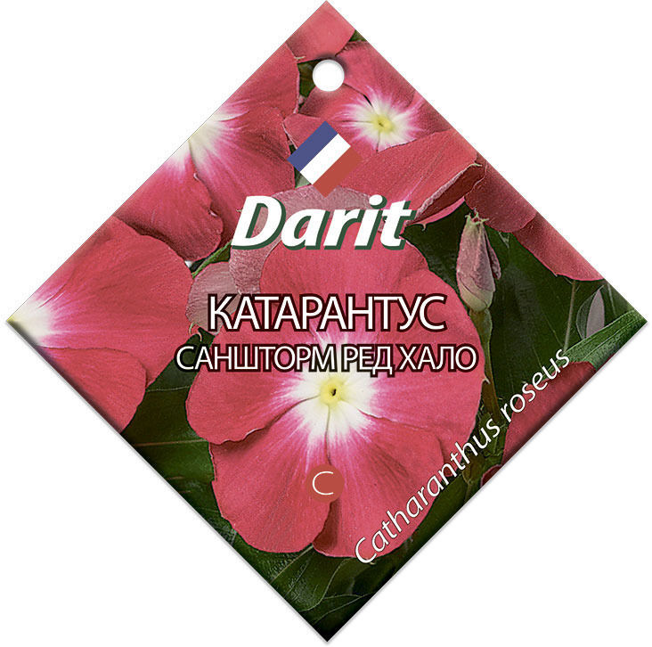 Семена Darit Катарантус Саншторм Ред Хало 5691 О*10шт