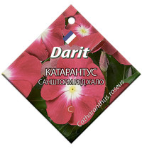 Семена Darit Катарантус Саншторм Ред Хало 5691 О*10шт
