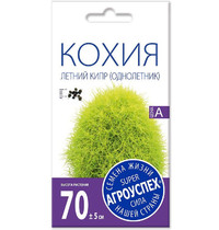 Семена Агроуспех Кохия Летний кипр 28199 О*0,5г