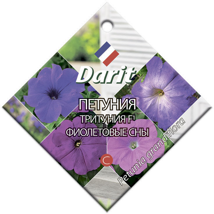 Семена Darit Петуния Тритуния F1 Тритуния F1 Фиолетовые сны 5709 О*10шт