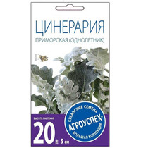 Семена Агроуспех Цинерария Приморская 33311 О*0,1г