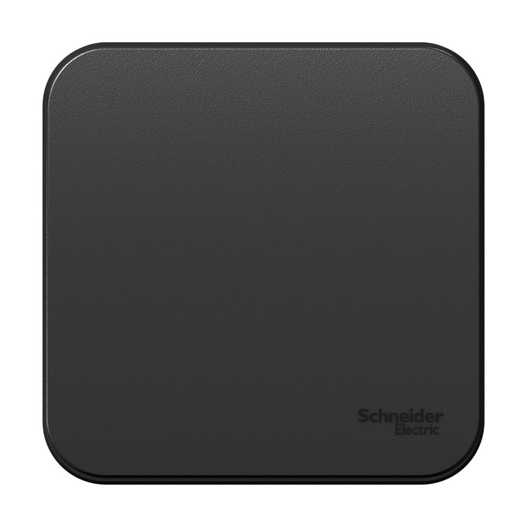 Выключатель Schneider Electric Blanca BLNVA101006 10А 250В (1-клавишный, антрацит)