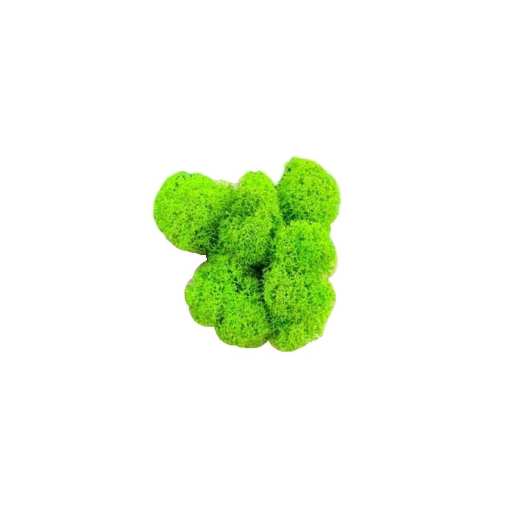 Стабилизированный мох Ягель Russian Moss Apple Green 00118 1 кг