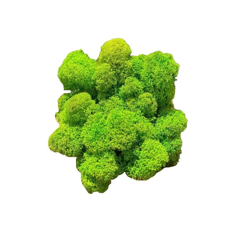 Стабилизированный мох Ягель Russian Moss Lime Green 00064 1 кг