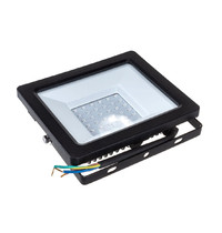 Прожектор светодиодный Feron LL-905 41523 2835SMD 50Вт IP65 (синий, черный)