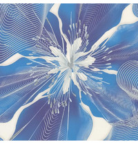 Обои виниловые Euro Decor Glossy 7171-20