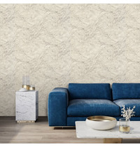 Обои виниловые Euro Decor Domus 7170-02