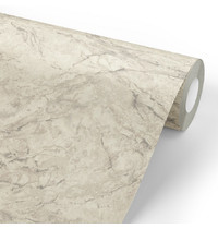 Обои виниловые Euro Decor Domus 7170-02