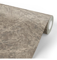 Обои виниловые Euro Decor Domus 7170-12