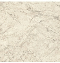 Обои виниловые Euro Decor Domus 7170-01