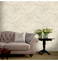 Обои виниловые Euro Decor Domus 7170-01