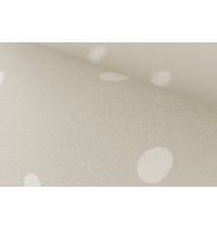 Обои виниловые Erismann Anny 60427-03 10,05м х 1,06м (на флизелиновой основе, горячего тиснения)