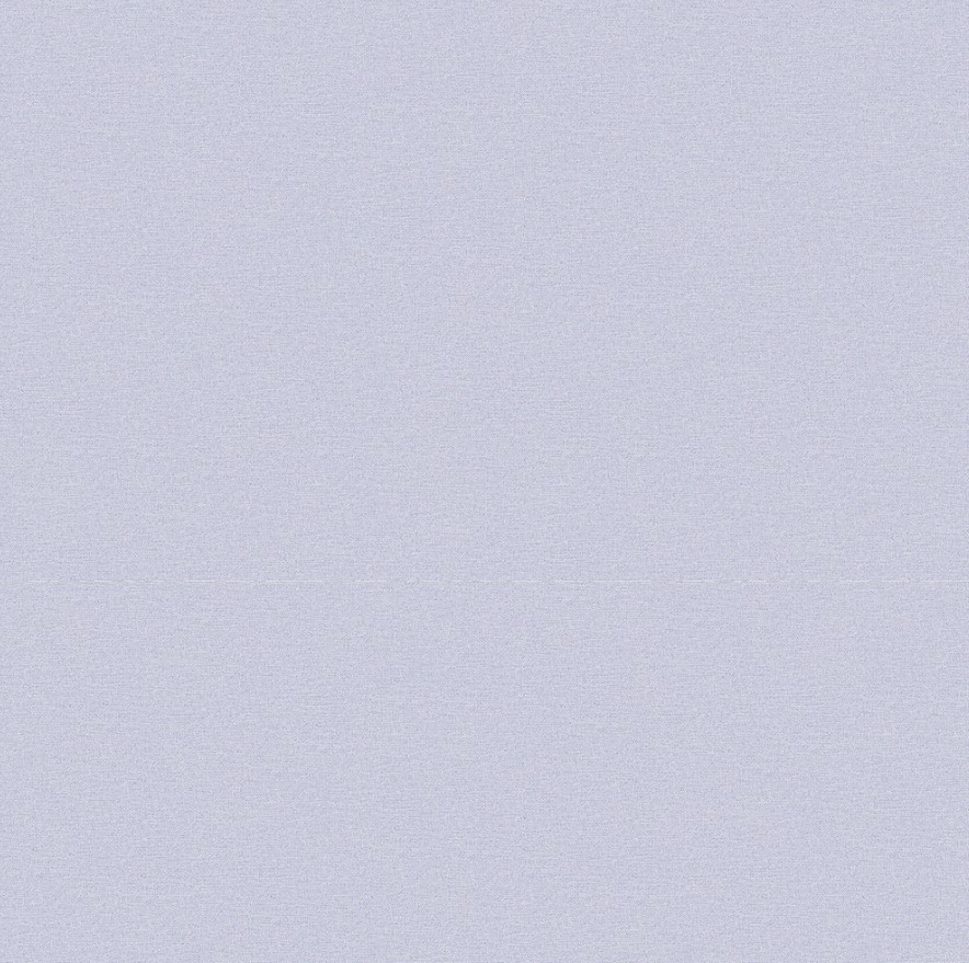 Обои виниловые Erismann Basic 60095-12 10,05м х 1,06м (на флизелиновой основе, горячего тиснения)
