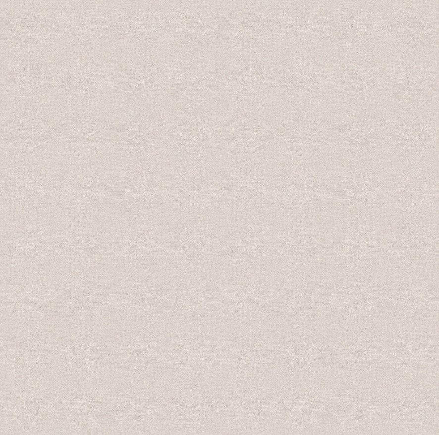 Обои виниловые Erismann Basic 60095-04 10,05м х 1,06м (на флизелиновой основе, горячего тиснения)