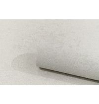 Обои виниловые Erismann Profi Deco Miriam 60411-04 10,05х1,06м (на флизелиновой основе, горячего тиснения)