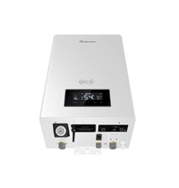 Электрический котел Thermex Grizzly 5-12 Wi-Fi ЭдЭБ01987 (настенный)