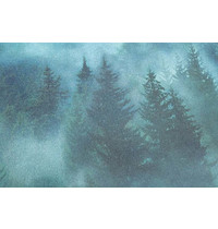 Обои виниловые Home Color My Forest HC71960-67
