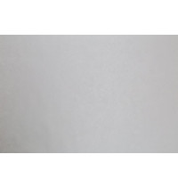 Обои виниловые Home Color Tropical Shades HC71974-42