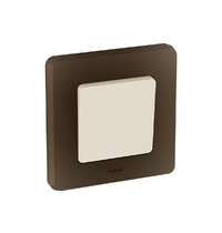 Рамка для розетки Legrand Inspiria 673939 (1-местная, бронза)