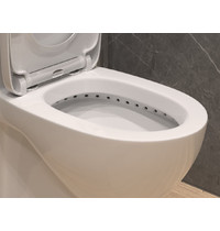 Монолитный унитаз Eva Gold Т1079 UF ут-00008360 (сиденье дюропласт, с гофрой и подводкой)