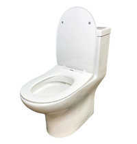 Монолитный унитаз Eva Gold Т1081 UF ут-00008362 (сиденье дюропласт, с гофрой и подводкой)