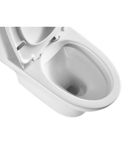 Монолитный унитаз Eva Gold SM5003 (безободковый, сиденье дюропласт, с гофрой и подводкой)