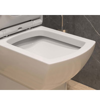 Монолитный унитаз Eva Gold Т1020 UF (сиденье дюропласт, с гофрой и подводкой)