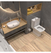 Монолитный унитаз Eva Gold Т1020 UF (сиденье дюропласт, с гофрой и подводкой)