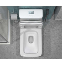 Монолитный унитаз Eva Gold SM9615 (сиденье дюропласт, с гофрой и подводкой, мрамор)
